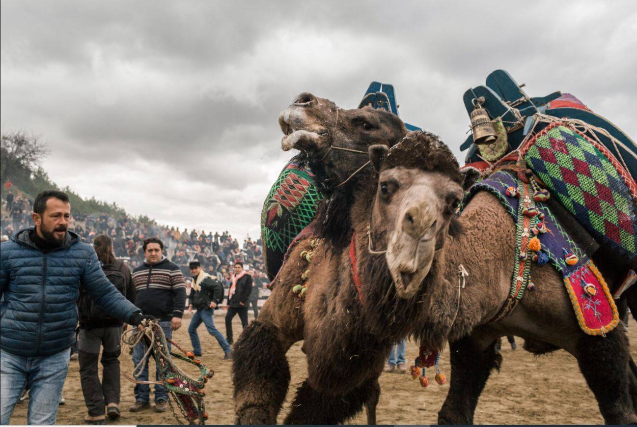 أبرزها الرقص مع الموتي..أغرب وأطرف العادات حول العالم