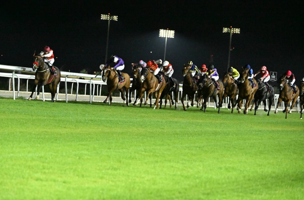 ولي العهد رئيس الوزراء: &laquo;سباقات الخيل&raquo; يُقبل عليها أبناء الوطن بكل حماسٍ للمنافسة