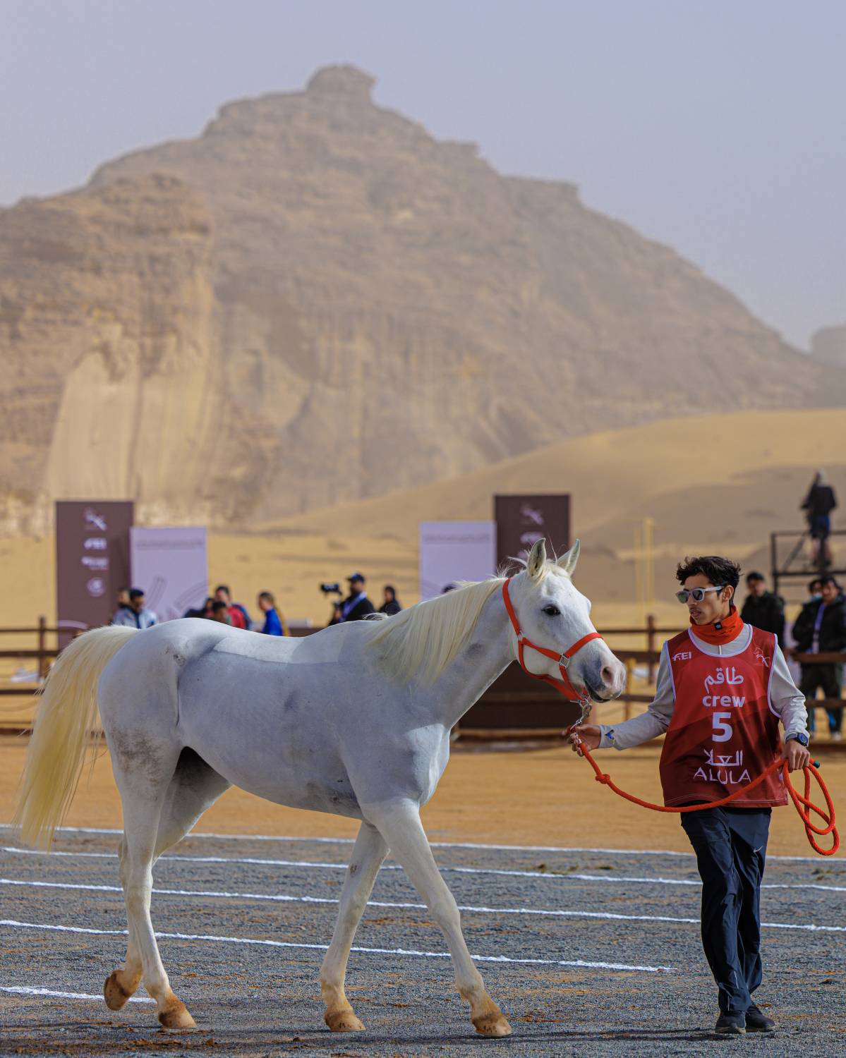 الفريق الملكي يشارك في بطولة كأس خادم الحرمين للقدرة في العُلا