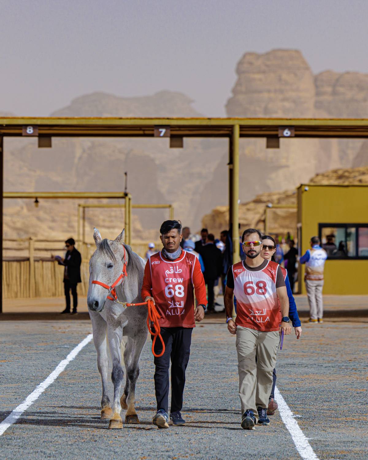 الفريق الملكي يشارك في بطولة كأس خادم الحرمين للقدرة في العُلا