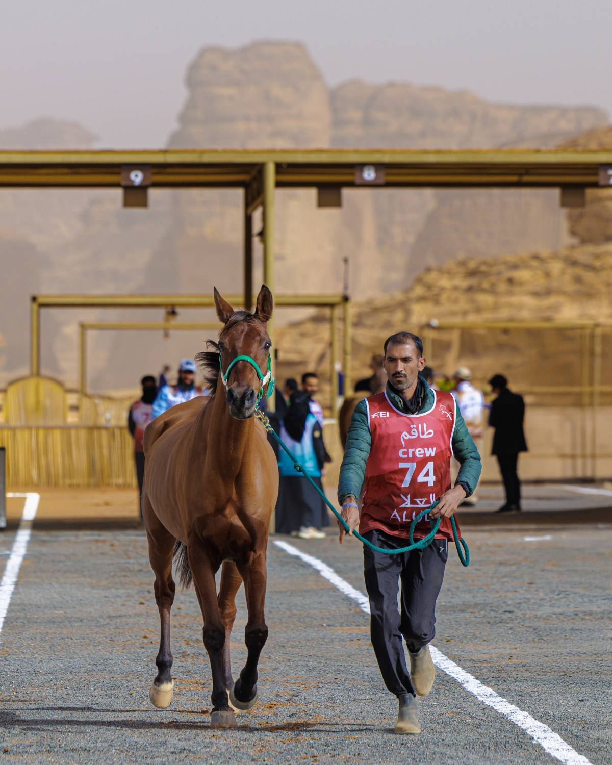 الفريق الملكي يشارك في بطولة كأس خادم الحرمين للقدرة في العُلا