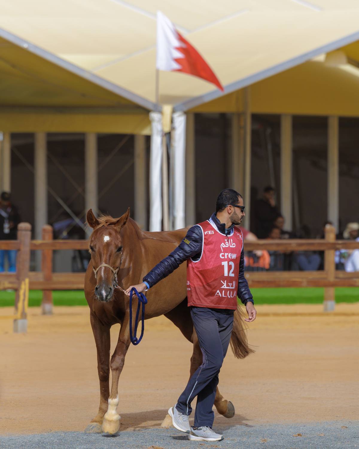 الفريق الملكي يشارك في بطولة كأس خادم الحرمين للقدرة في العُلا