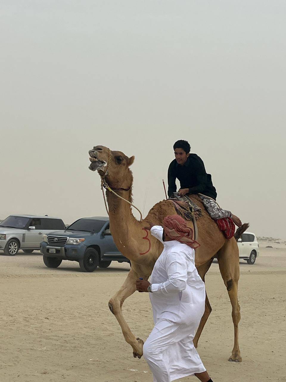 ضمن موسم ناصر بن حمد للصقور والصيد.. انطلاق سباقات الهجن للركب البشري