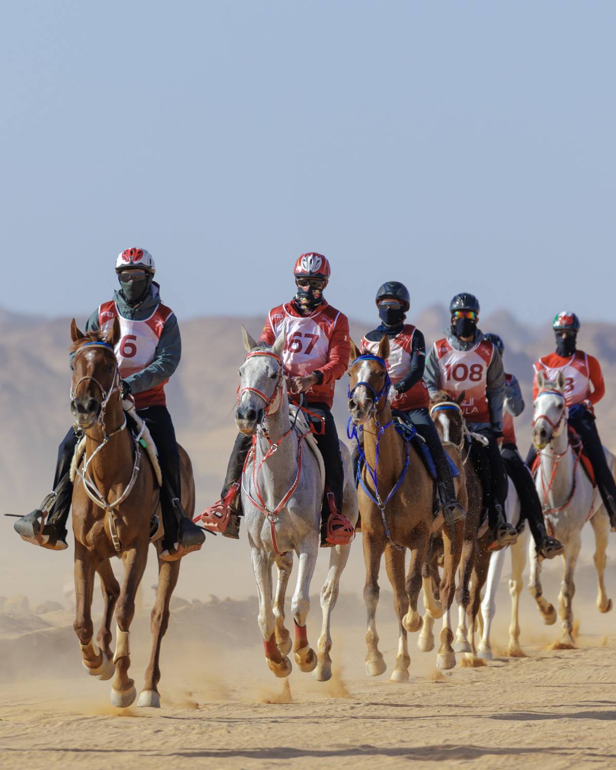 الفريق الملكي للقدرة يحتل مراكز متقدمة في سباق 120 كم لبطولة كأس خادم الحرمين للقدرة في العُلا