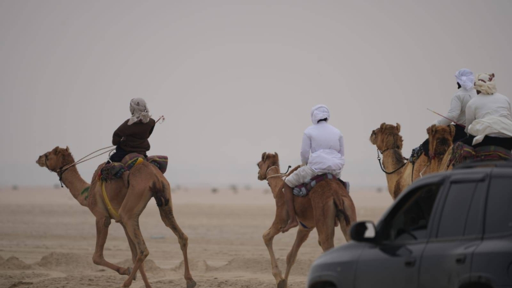 السفير الإيطالي يشهد سباقات الهجن على كؤوس سمو الشيخ خالد بن حمد