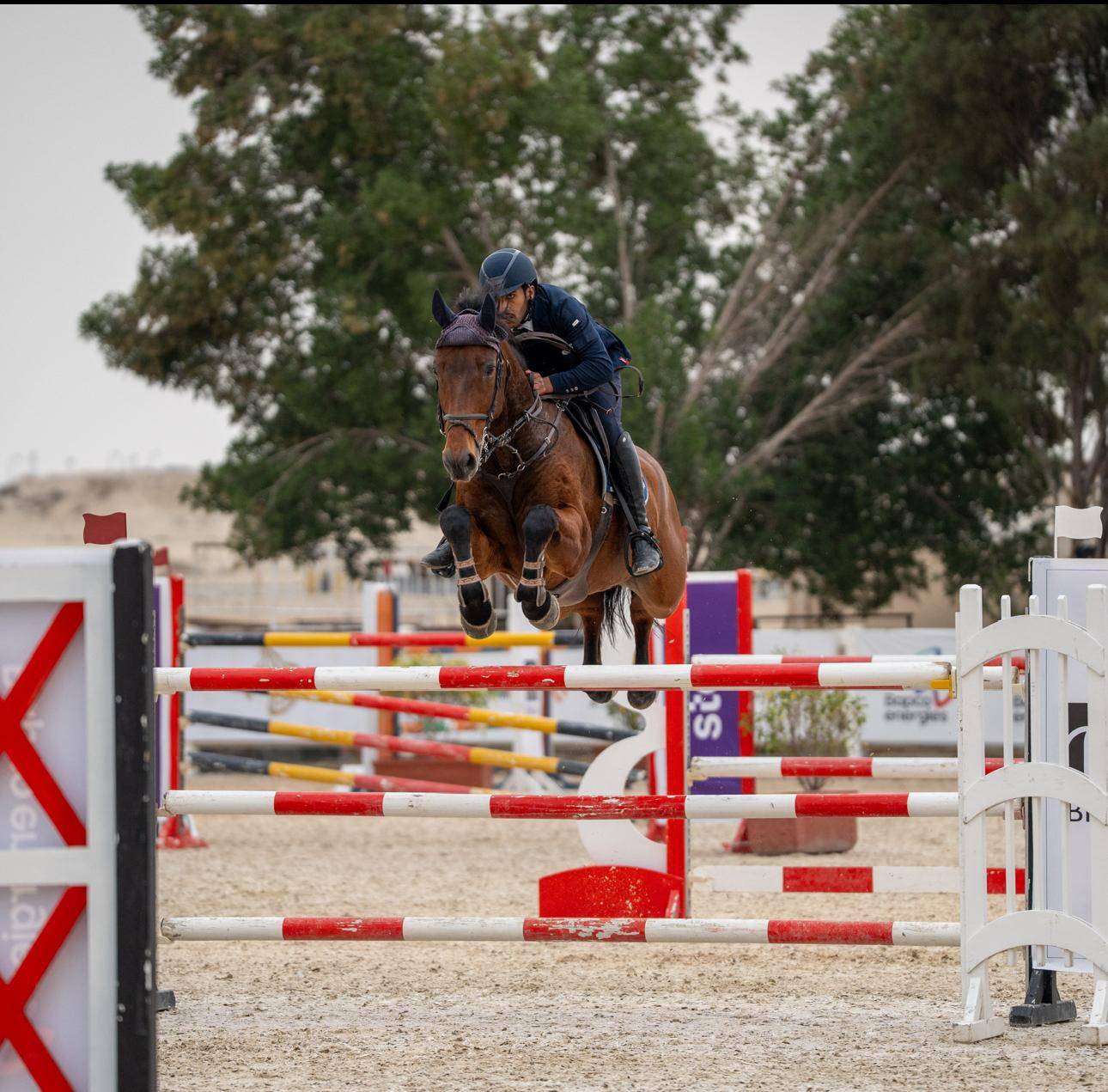 فريق الداخلية لقفز الحواجز يحقق المركز الأول في المسابقة الكبرى لبطولة ناصر بن حمد الدولية ذو النجمتين لقفز الحواجز