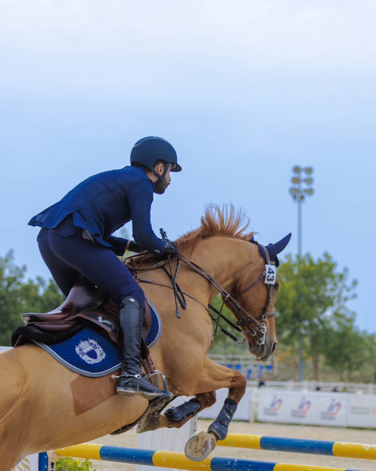 نيابة عن ناصر بن حمد.. فيصل بن راشد يتوج أبطال بطولة ناصر بن حمد الدولية لقفز الحواجز