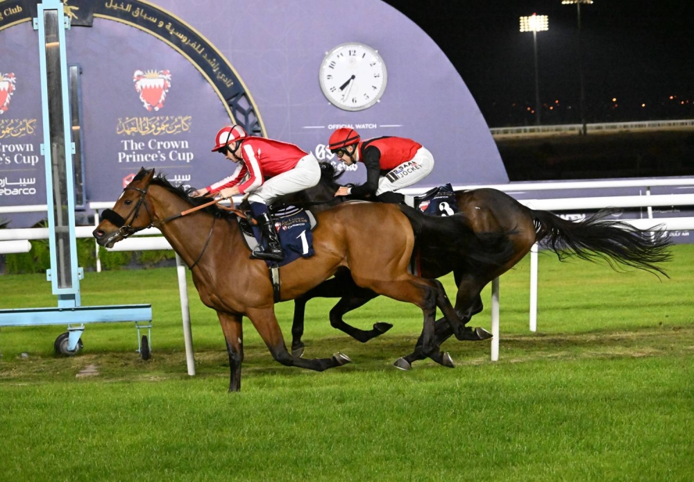 مشاركات كبيرة وقوية على كؤوس سمو الشيخ ناصر بن حمد وأنجاله وكأس "رؤية البحرين" والصخير