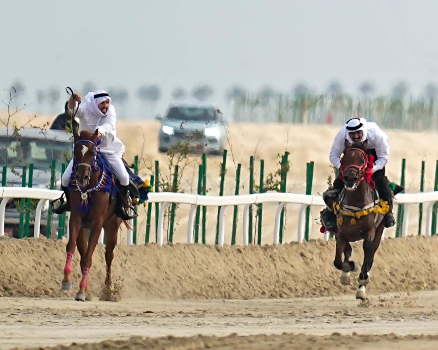 ختام مثير للشوط النهائي لسباق الخيل العربية التراثي ضمن موسم ناصر بن حمد للصقور والصيد