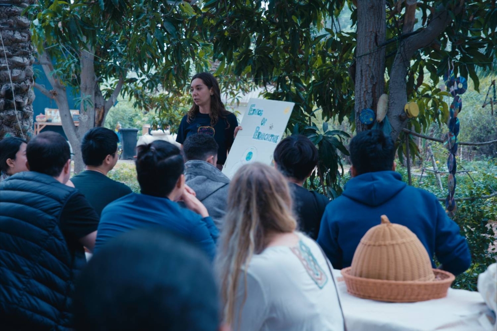 وزارة الشباب تنظم "يوم على الجزيرة" لتعزيز مكانة البحرين كداعم دولي للتراث والابتكار