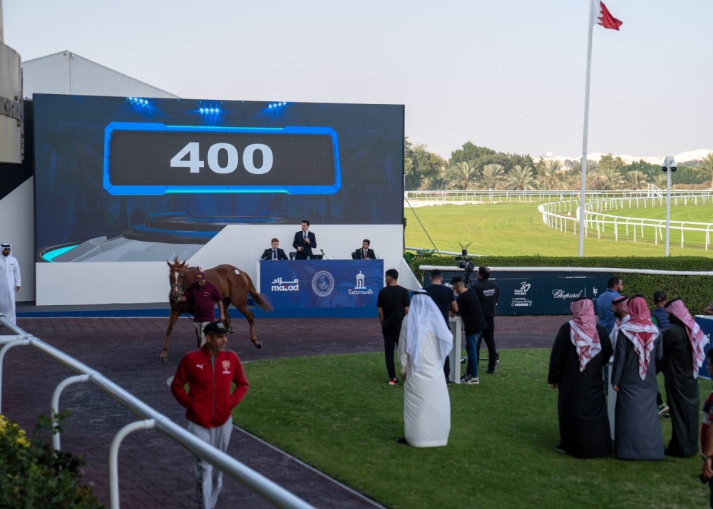 نادي راشد للفروسية وسباق الخيل ينظم مزاداً للجياد 18 مارس القادم و فتح باب المشاركة