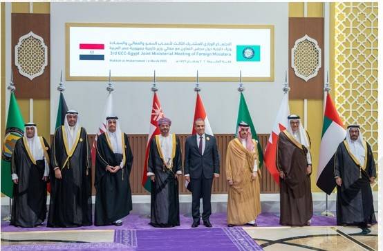 الزياني يشارك في الاجتماعات المشتركة لـ"الوزاري الخليجي" مع مصر وسوريا والمغرب