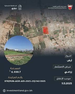 رئيس لجنة استثمار الأراضي الحكومية: طرح 23 فرصة استثمارية جديدة عبر منصة استثمار الأراضي الحكومية