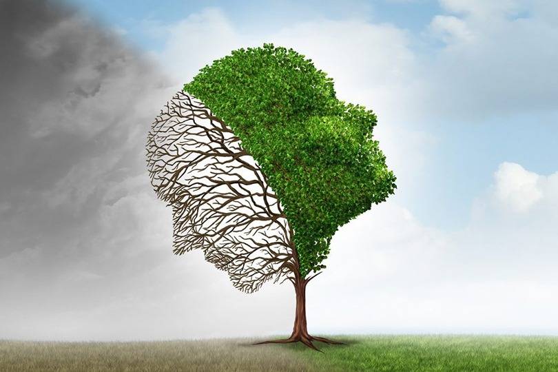 بين ألمٍ وأمل