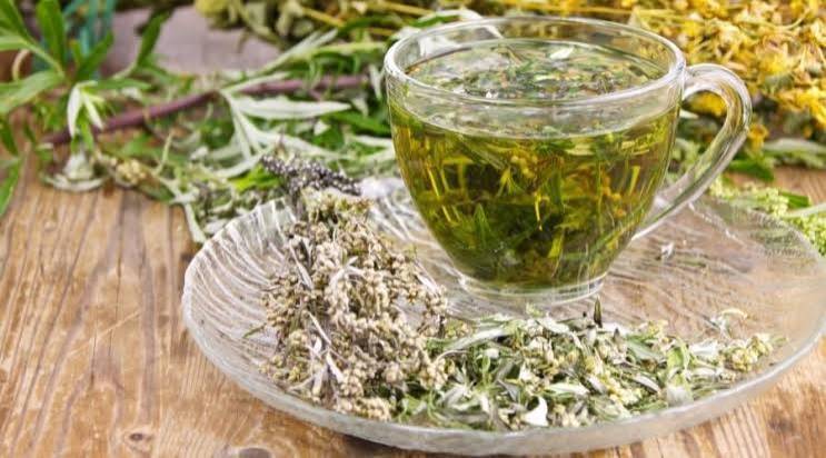 الشيح.. كنز طبيعي غني بالفوائد الصحية