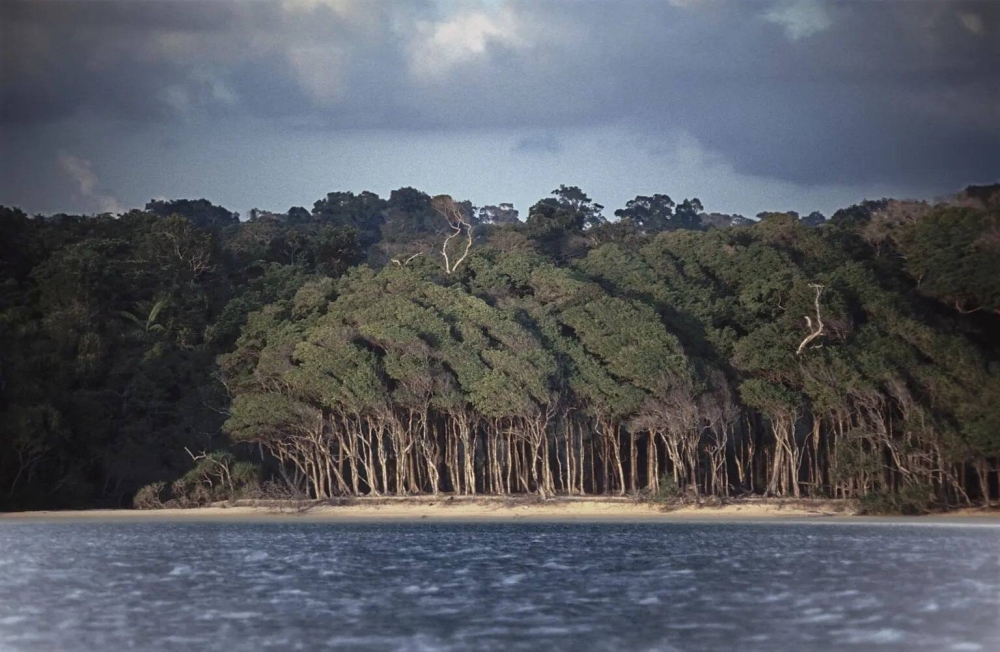 مغامر أمريكي يتحدى الموت: اختراق منطقة محظورة لقبيلة سنتينليز المنعزلة بهدية غريبة