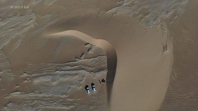 اكتشاف أثري مذهل.. أرض السعودية كانت واحة خضراء قبل 8 ملايين عام مليئة بالأنهار والبحيرات