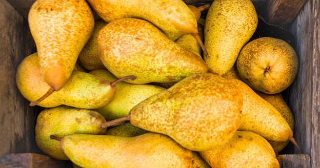 قشر الكمثرى.. كنز غذائي خفي يمنحك فوائد مذهلة