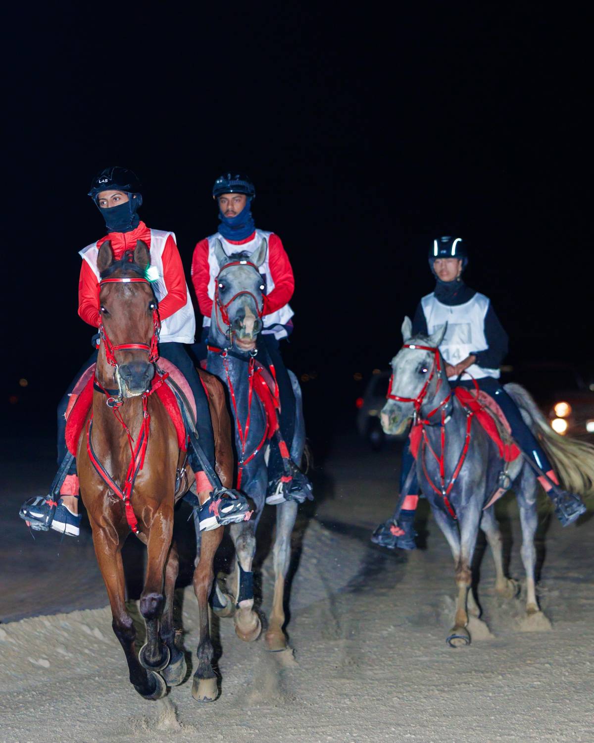 إسدال الستار على بطولات سباقات القدرة للموسم 2024/2025