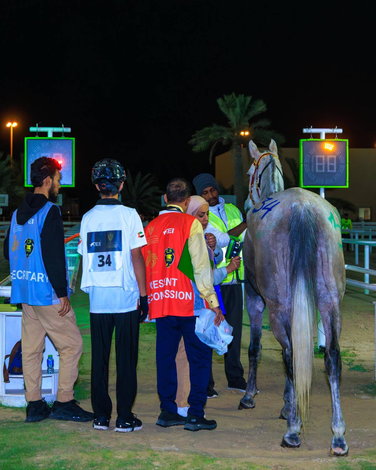 إسدال الستار على بطولات سباقات القدرة للموسم 2024/2025