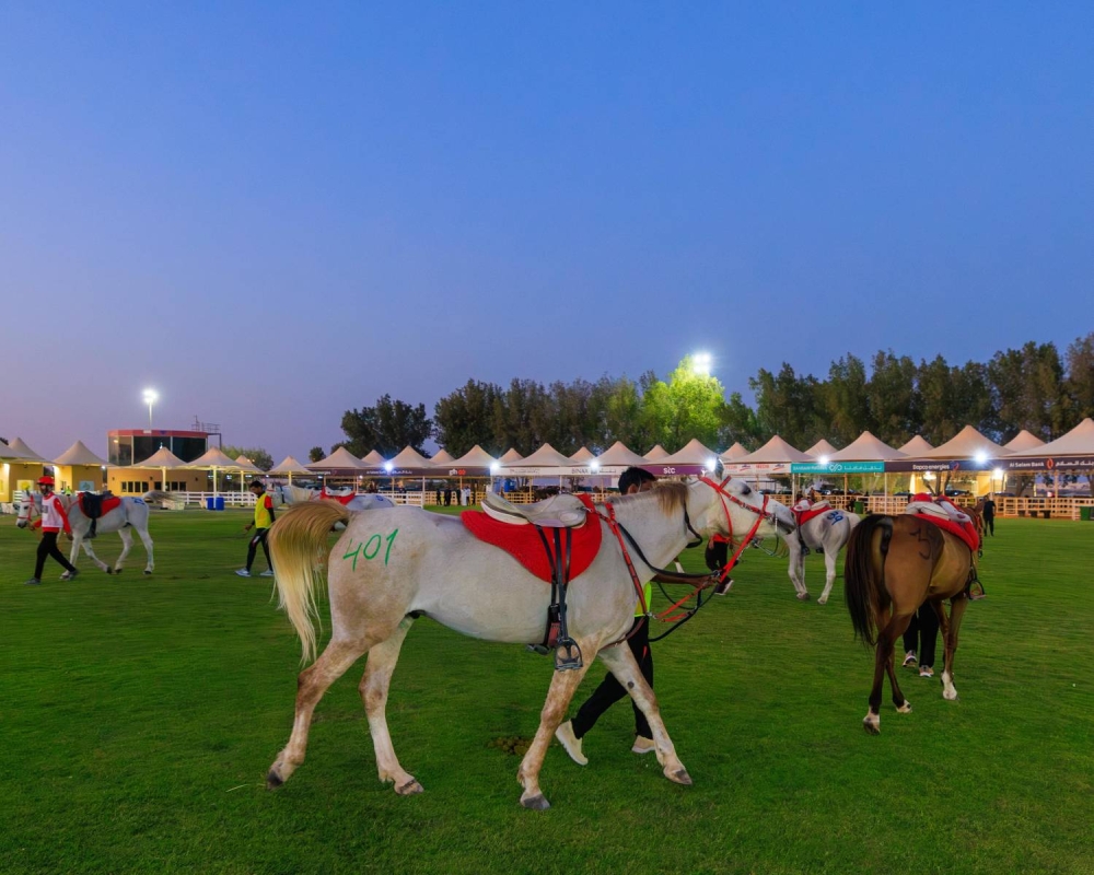 إسدال الستار على بطولات سباقات القدرة للموسم 2024/2025