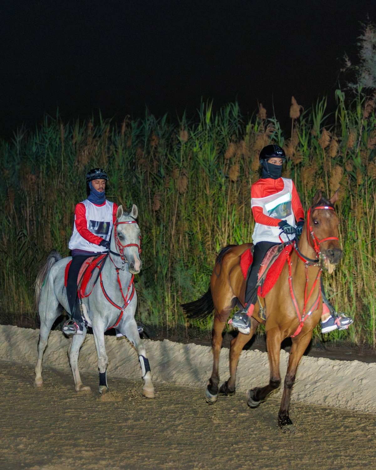 إسدال الستار على بطولات سباقات القدرة للموسم 2024/2025