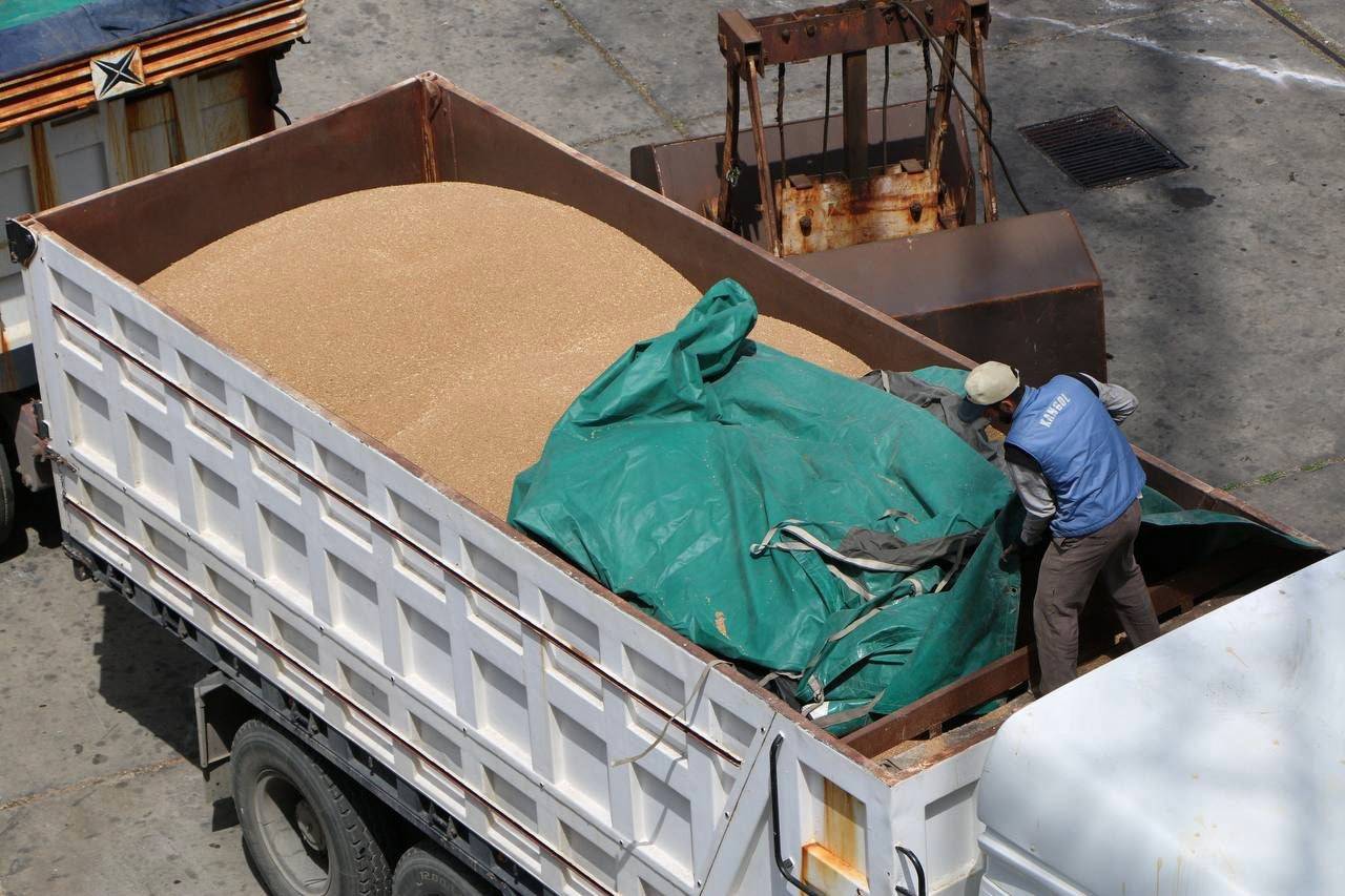 سوريا.. وصول أول باخرة محملة بالقمح إلى ميناء اللاذقية منذ الإطاحة بنظام المخلوع بشار الأسد