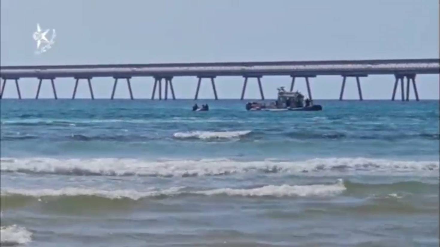 قرش مهدد بالانقراض يهاجم غواصاً إسرائيلياً قبالة شاطئ الخضيرة ويُفقد أثره