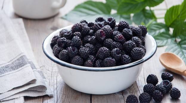 التوت الأسود.. فاكهة صغيرة بفوائد كبيرة لصحتك وجمالك
