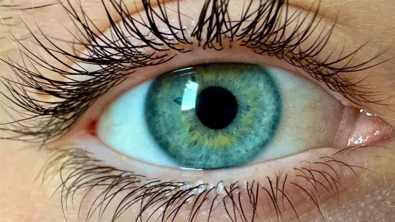 "olo".. باحثون أمريكيون يكتشفون لوناً جديداً لم يسبق لأحد أن رآه من قبل