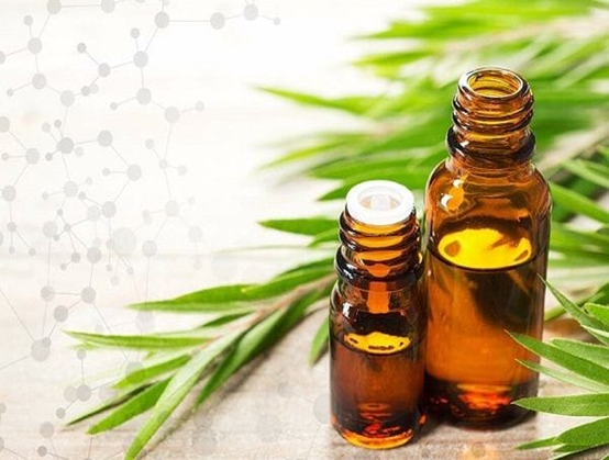 يحسن المزاج وقد يهيج الجلد.. فوائد وأضرار زيت شجرة الشاي