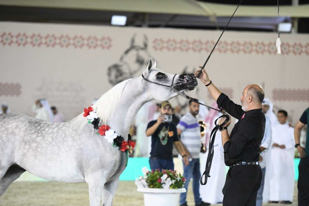 برعاية ناصر بن حمد.. انطلاق الجولة الثانية لبطولة كأس الإمارات العالمي لجمال الخيل العربية
