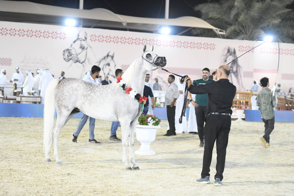 برعاية ناصر بن حمد.. انطلاق الجولة الثانية لبطولة كأس الإمارات العالمي لجمال الخيل العربية