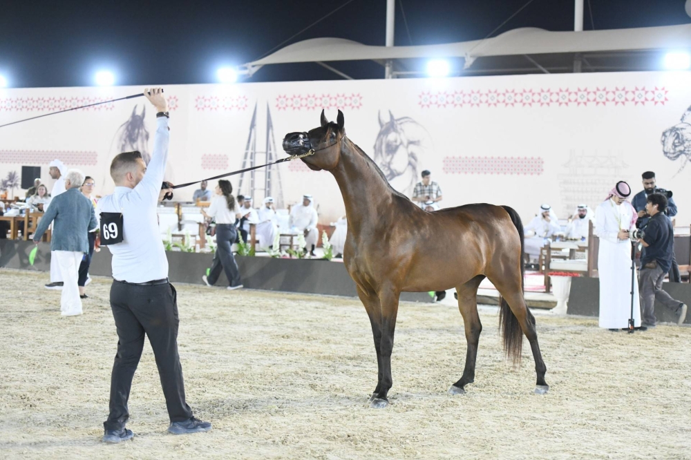 برعاية ناصر بن حمد.. انطلاق الجولة الثانية لبطولة كأس الإمارات العالمي لجمال الخيل العربية