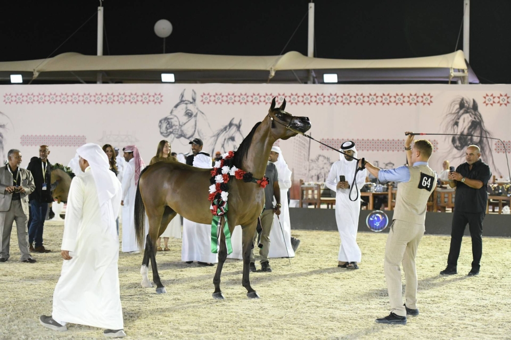 برعاية ناصر بن حمد.. انطلاق الجولة الثانية لبطولة كأس الإمارات العالمي لجمال الخيل العربية