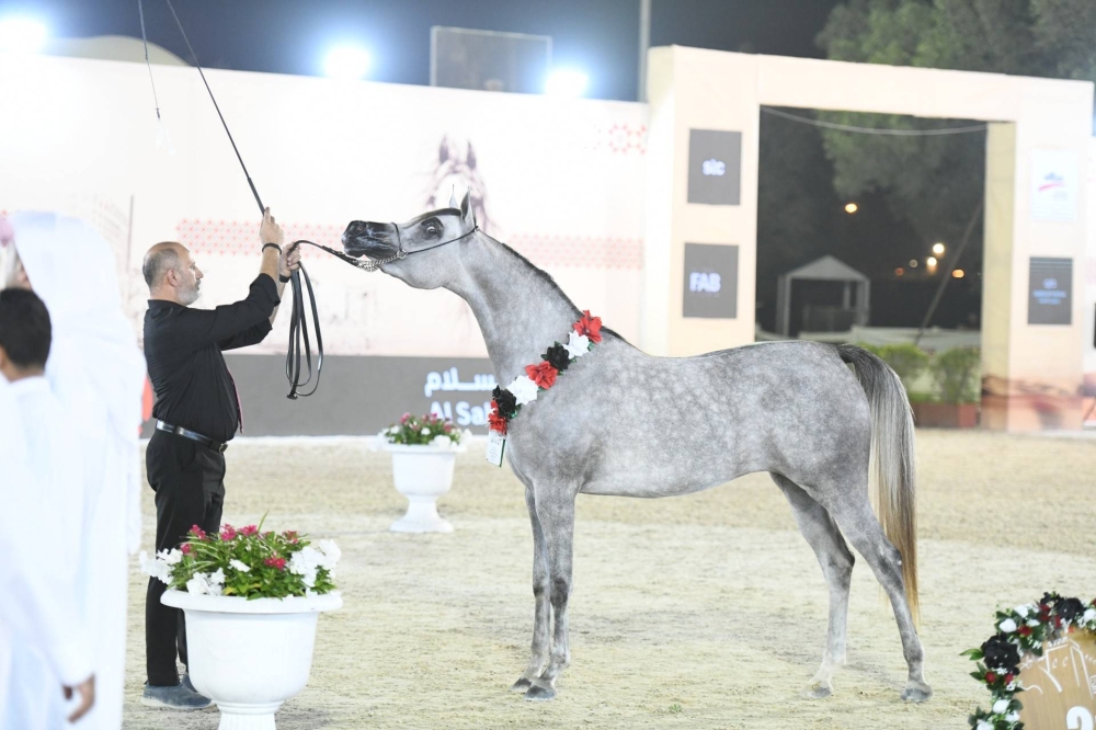 برعاية ناصر بن حمد.. انطلاق الجولة الثانية لبطولة كأس الإمارات العالمي لجمال الخيل العربية