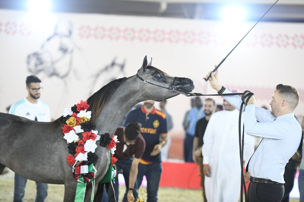 برعاية ناصر بن حمد.. انطلاق الجولة الثانية لبطولة كأس الإمارات العالمي لجمال الخيل العربية