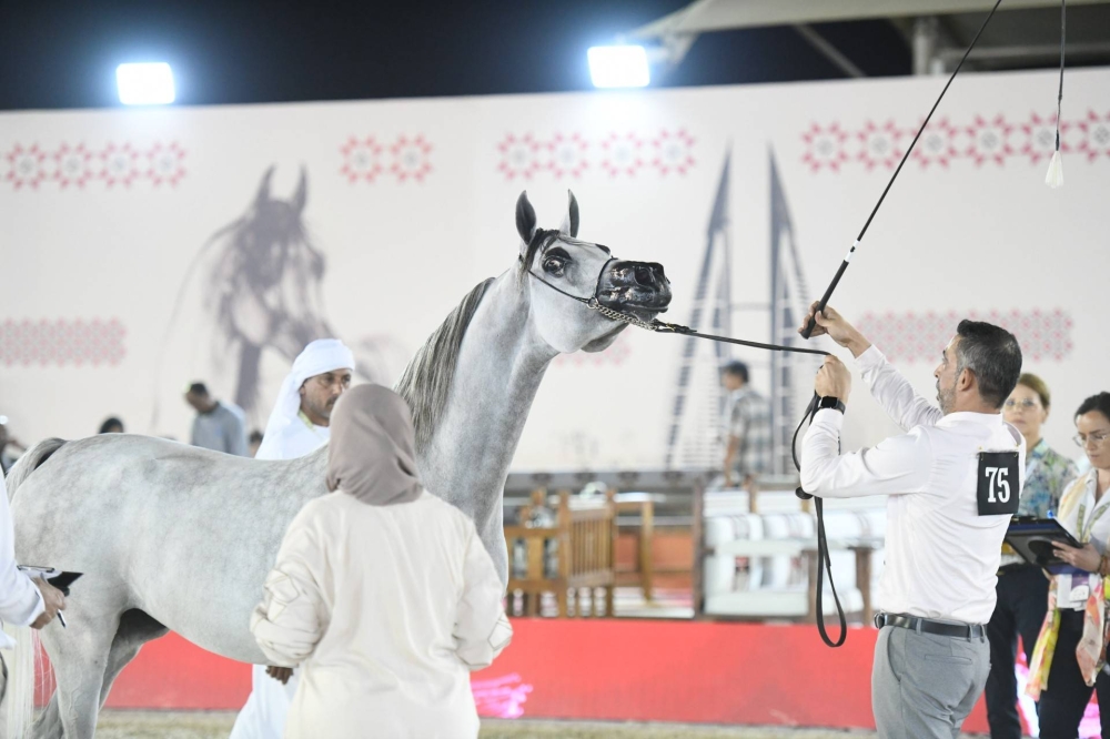 برعاية ناصر بن حمد.. انطلاق الجولة الثانية لبطولة كأس الإمارات العالمي لجمال الخيل العربية