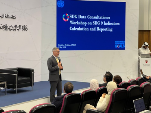 وزارة التنمية المستدامة تعقد ورشة عمل حول آليات احتساب مؤشرات الهدف التاسع المعني بالصناعة والابتكار والهياكل الأساسية