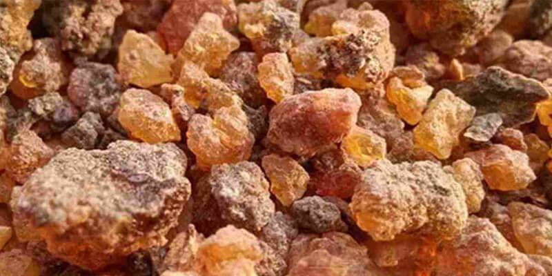 المرّ.. علاج طبيعي متعدد الفوائد للبشرة والصحة