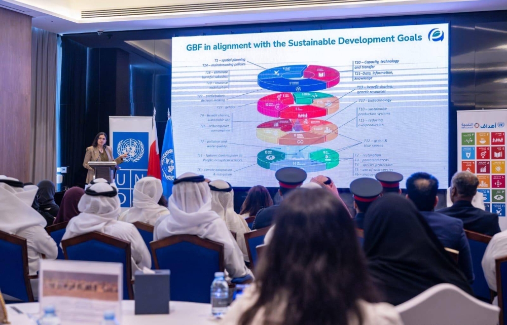 المجلس الأعلى للبيئة وبرنامج الأمم المتحدة الإنمائي يٌنظمان ورشة عمل وطنية حول التنوع البيولوجي