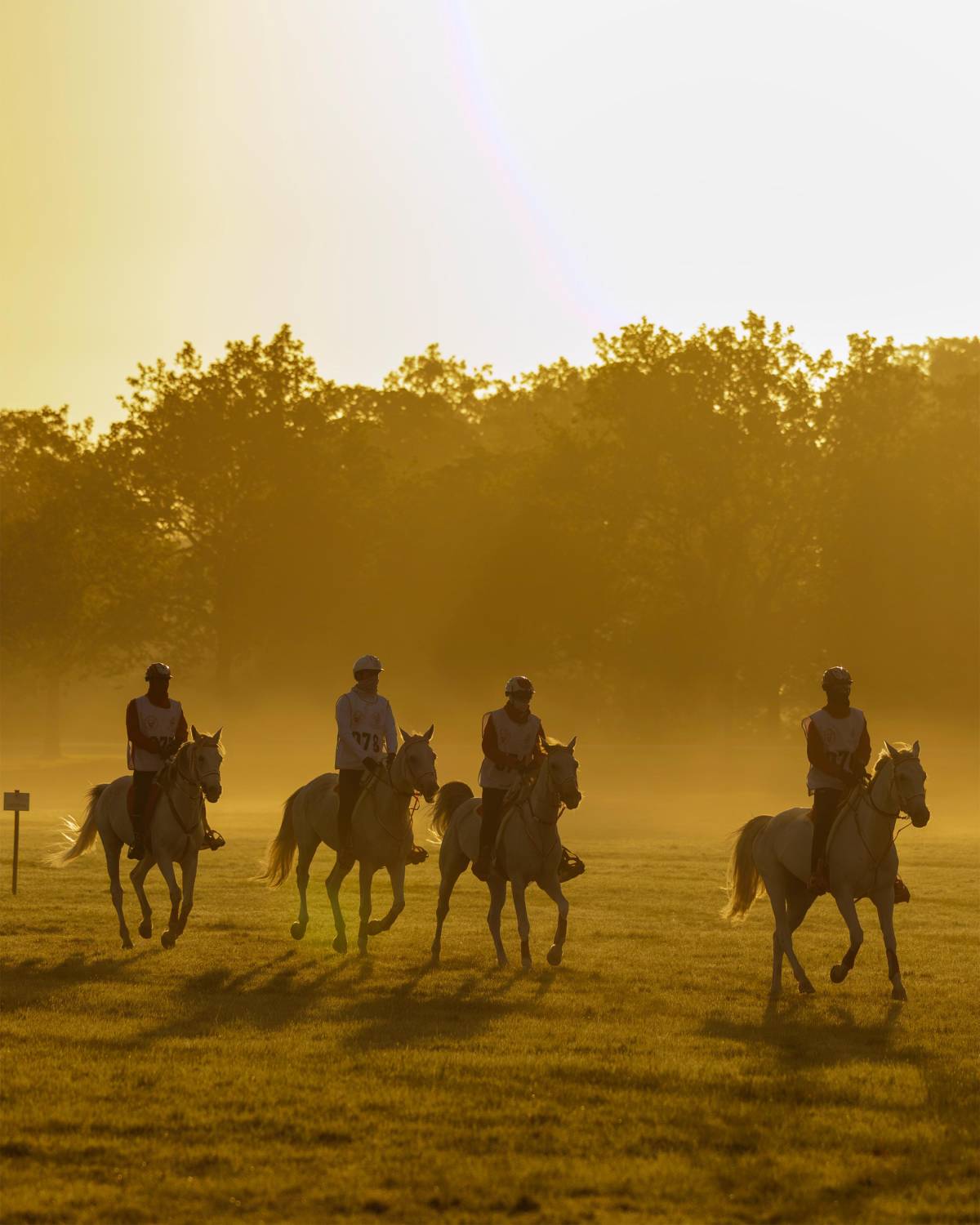 ناصر بن حمد: متابعة جلالة الملك لمهرجان ويندسور تؤكد دعم جلالته المستمر للفريق الملكي للقدرة