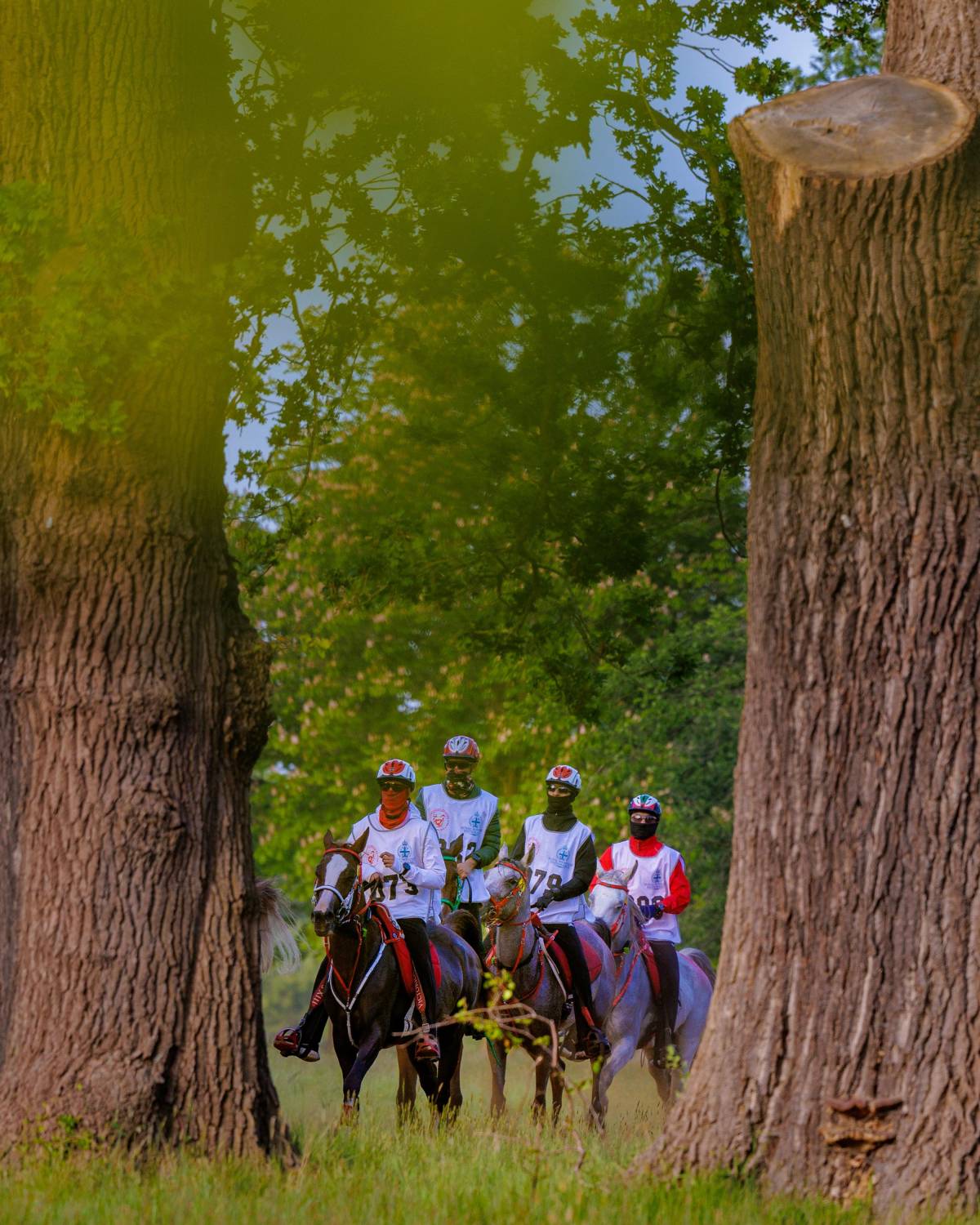 ناصر بن حمد: متابعة جلالة الملك لمهرجان ويندسور تؤكد دعم جلالته المستمر للفريق الملكي للقدرة