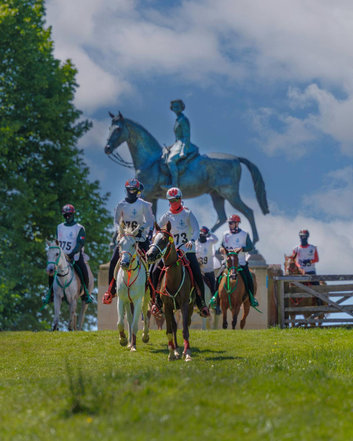 ناصر بن حمد: متابعة جلالة الملك لمهرجان ويندسور تؤكد دعم جلالته المستمر للفريق الملكي للقدرة
