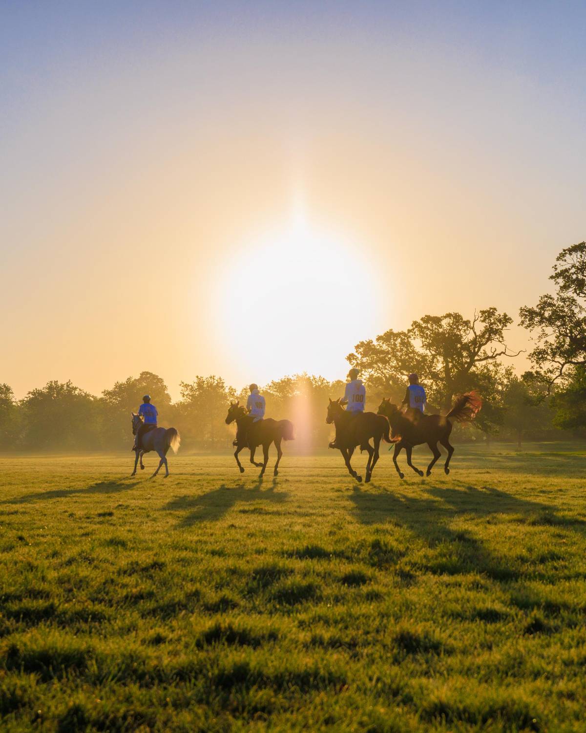 ناصر بن حمد: متابعة جلالة الملك لمهرجان ويندسور تؤكد دعم جلالته المستمر للفريق الملكي للقدرة