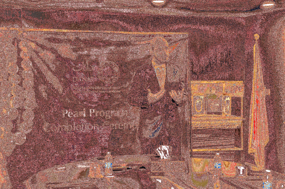 &laquo;دانات&raquo; يحتفل بتخريج منتسبي &laquo;برنامج اللؤلؤ&raquo; المهني