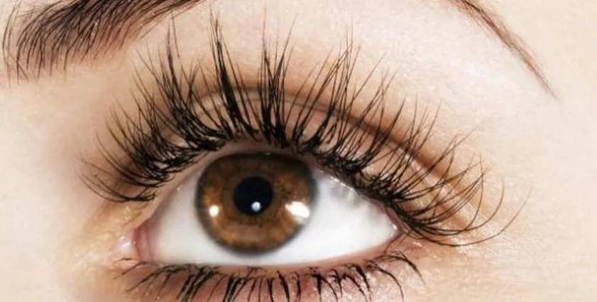 الحماية الأولى لعينيك.. ما هي فوائد الرموش للأعين؟
