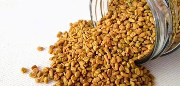 الحلبة.. اعرف آثارها الجانبية المحتملة وجرعاتها الموصى بها لمرضى السكري