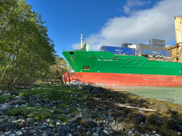 رجل نرويجي بقي نائماً بينما اقتحمت سفينة حديقة منزله