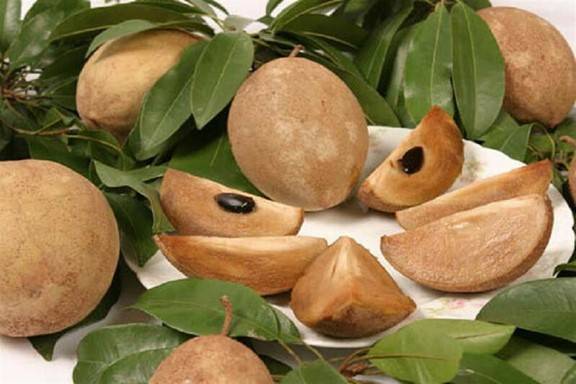 أبرزها مكافحة تجاعيد.. فوائد فاكهة الشيكو للصحة العامة والجسم